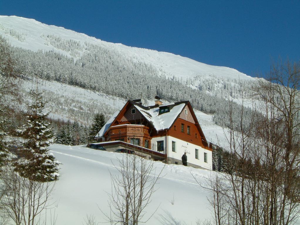 Pension Pohoda Spindleruv Mlyn Exterior foto